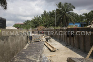 Read more about the article White Diamonds