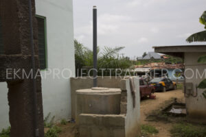 Read more about the article Placenta Pit – Adientem